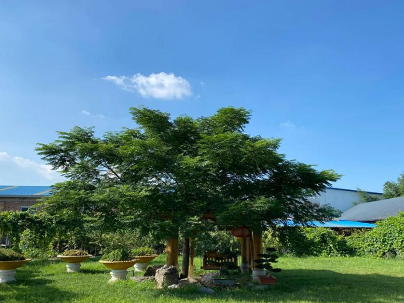 春日趣享 “質(zhì)”敬團結